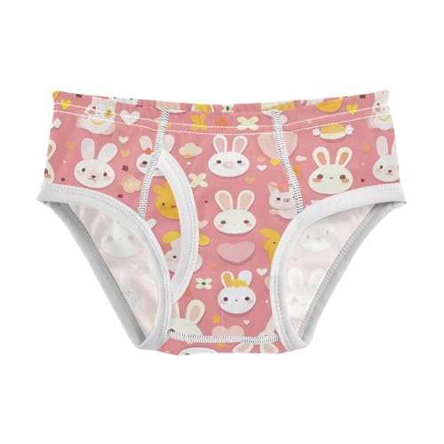 visesunny Boys Potty Training Underwear Pink Cartoon Rabbit Animal Breathe Cotton Briefs Size 2T-8Y for Toddler