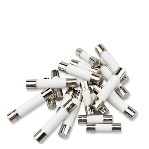Fusibles ceramiques action rapide 20A tube 6x30mm 250V cartouche de remplacement