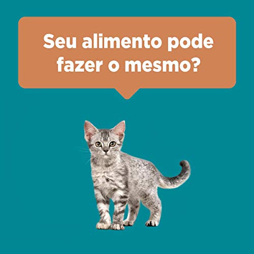 NESTLÉ PURINA ONE Ração Seca para gatos filhotes todas as raças Frango e Carne 500g