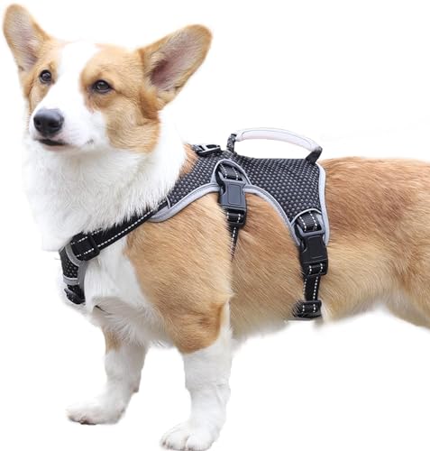 Paworld Arnés para Perros a Prueba de Escapes, Soporte Múltiple, Completamente Reflectante con Asa Acolchada, Transpirable, Durable, Chaleco Ajustable para Caminar, Entrenar y Correr (Negro, S)