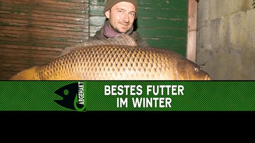 Bestes Futter im Winter