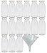 Viva Haushaltswaren - 15 x Glasflasche 250 ml mit silberfarbenem Schraubverschluss, als Milchflasche, Saftflasche & Smoothieflasche verwendbar (inkl. Trichter Ø 12 cm)