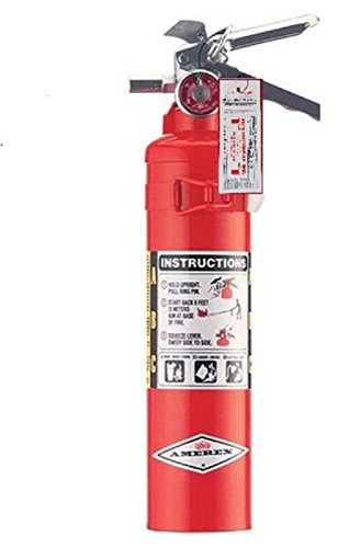 Amerex ABC, Dry Chemical Fire Extinguisher - B417T - 2.5 Pounds Certification Tag, Ready For Fire Inspections