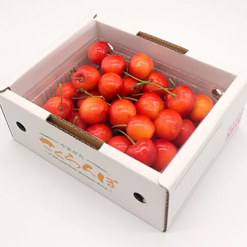 先行予約 さくらんぼ 紅秀峰 秀品 L-2L玉 500g バラ詰 2026年産 令和8年産 山形県産 [2026年6月中旬~7月上旬頃発送]mm-bsbax500