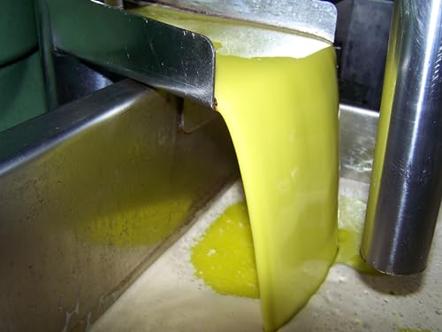 Aceite-de-Oliva-Virgen-Extra-5-Litros-Picual-Oleo-Estrella-Aceite-de-Oliva-Virgen-Extra-de-Jaen