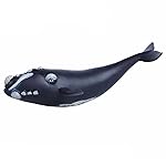 Gemini&Genius Right Whale Action Figure, Shark Animal Ocean Blackfish, Soft Rubber Ocean Whale Shark, Great for Kids Bath Swimming Beach and Cake Toppers Toys