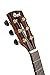 Cort Grand Regal Series Acoustic-Electric Guitar, Natural Glossy (GAPFBEVELNAT)