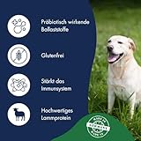 Dr.Clauder´s Dog Lamm & Reis, 1er Pack (1 x 12.5 kg)