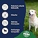 Dr.Clauder´s Dog Lamm & Reis, 1er Pack (1 x 12.5 kg)