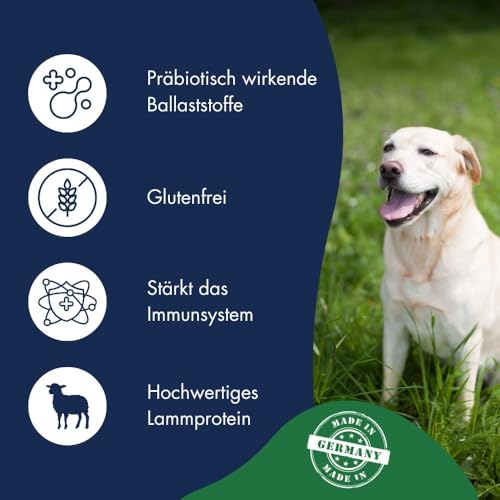 Dr.Clauder´s Dog Lamm & Reis, 1er Pack (1 x 12.5 kg)