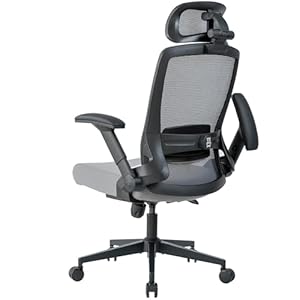 Realm of Thrones VALOUR Ergonomic Office Chair for Home, Gaming Desk Chair, 3D Headrest/High Back Mesh/Comfort Cushion Seat/2D Rotating Armrests/Adjustable Lumbar Support/Heavy Duty Steel Base (Grey)