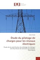 A0/00tude Du Pilotage de Charges Pour Les Ra(c)Seaux A(c)Lectriques 613157930X Book Cover