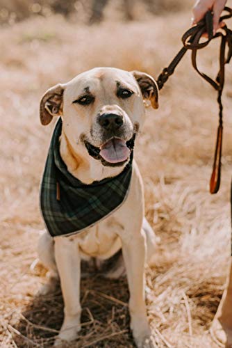 Unique style paws Hundeschal 1 STK. Waschbare Halsdreiecke aus Baumwolle Hundehalstücher für Kleine Mittel Große Hunde und Katzen