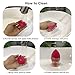 Makeup Sponge Blender Set, Beauty Makeup Sponges Latex-free Blender 5pcs + Beauty Sponge Holder 1pc