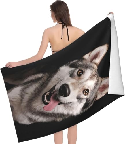 oX^I }CNt@Co[  Č  唻   r[`^I z hL ӂӂ щHȂ G ϋv oXpi lGʗp ƒ/Ɩ/X|[cp 蕨 80×130cm