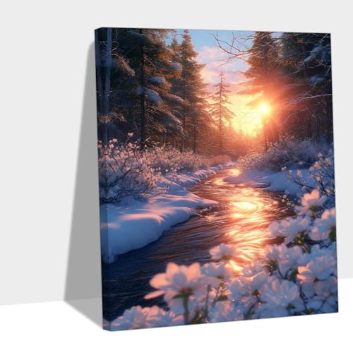 GA 2025 Paint by Numbers vlSҊȒP| DIY Lbgz[ ItBXv[g 90x120cm Y#B280