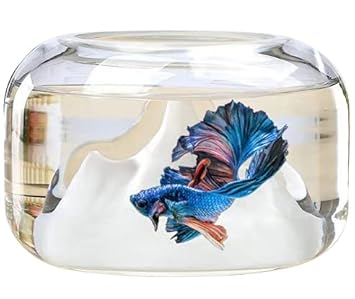 Glass Fishbowl Small Snow Mountain Goldfish Aquarium 5.9