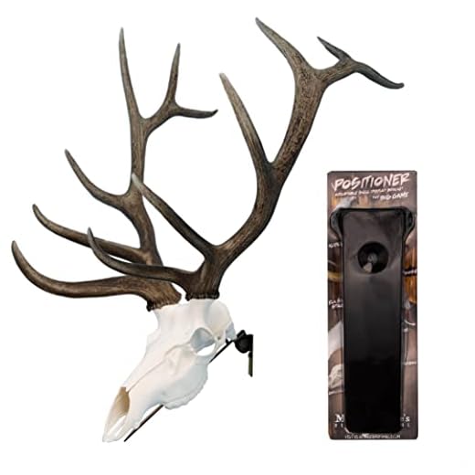 Mountain Mike's - Elk Positioner European Skull Wall Mount - Adjustable Elk Skull Mount Bracket - Universal Design Works with Reproduction and Natural Elk Skulls - Black