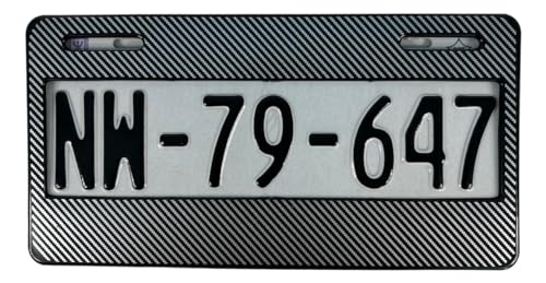 Accesorios para Autos, Automotive Parts and Accessories porta placas Marca REDLIZARD (3)