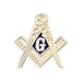 Forge Masonic Compass Enamel Gold Lapel Pin