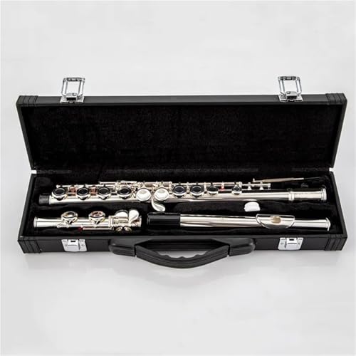 ⭐️値下げ中⭐️（超美品現行モデル！）YAMAHAフルート　YFL-312 Amazon | ヤマハ YAMAHA フルート YFL-312 | フルート | 楽器