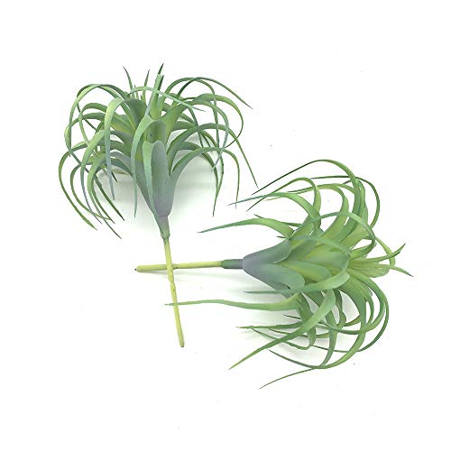 Ebuyom 2 Pcs Artificial Succulents Plants Real Touch Lifelike Succulants Plants Faux Greenery Plants Garden Diy Home Office Decoration Ornament (Air Plant) #TOP3