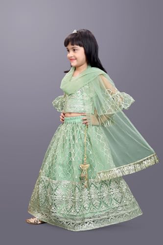 Image of Girl's Princess Lehenga Choli Set - Soft Net, Ribbon Embroidery With Duppata, Readymade