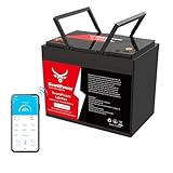 12V 100Ah Lithium LiFePO4 Battery with 100A BMS Grade A Cells Deep Cycle Rechargeable Battery,10000+ Cycles,Perfect for Golf Cart,Off Grid Applications (12.8V 100Ah)