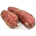 Fresh Japaneese Sweet Potato Murasaki, 6 Pound Box