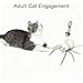 LiYjichng 2Pcs Cat Toy Spider Refills – White & Black Heads with Bell/Lobster Claw, Feather Wand Replacement for Kitten Interactive Play