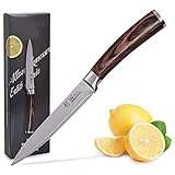 Wakoli EDIB Damastmesser Allzweckmesser 12,50cm Klinge extrem scharf aus 67 Lagen I Damast Küchenmesser und Profi Kochmesser aus echtem japanischen Damaststahl mit Pakkaholz Griff