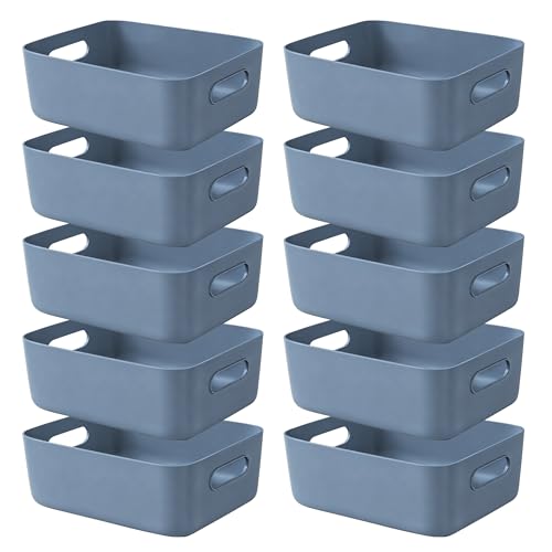 LYLIDIA Aufbewahrungsbox Kunststoff Klein 10 Stück 25x16x10 cm Aufbewahrungskorb Korb Küche Blau Aufbewahrung Plastik Kisten Körbe für Badezimmer Schrank Regal Organizer Boxen