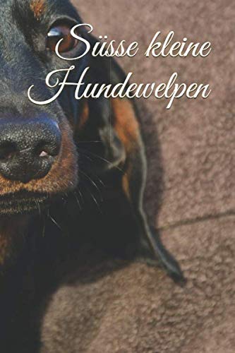 Süsse kleine Hundewelpen: Hundetraining-Hunde-Planer.To-Do-Liste Planer A5 6x9 Format.Geschenk für alle Hundeliebhaber/innen oder zu Weihnachten,Valentinstag,Geburtstag,Neujahr