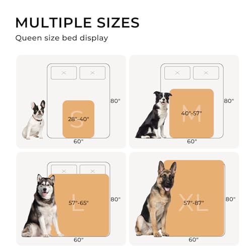 Luciphia Waterproof Pet Blankets for Couch Sofa Bed Cover Liquid Pee Proof Washable Soft Fluffy Large Dog Blanket Reversible Furniture Protection Grey Paw Thicken Small(40\" x 28\")