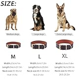 Reflektierendes Echtleder Hundehalsband verstellbar weich gepolstert für kleine, Mittelgroße und Extra Große Hundehalsbänder (Braun, M)