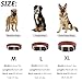 Reflektierendes Echtleder Hundehalsband verstellbar weich gepolstert für kleine, Mittelgroße und Extra Große Hundehalsbänder (Braun, M)