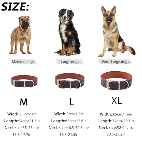 Reflektierendes Echtleder Hundehalsband verstellbar weich gepolstert für kleine, Mittelgroße und Extra Große Hundehalsbänder (Braun, M)