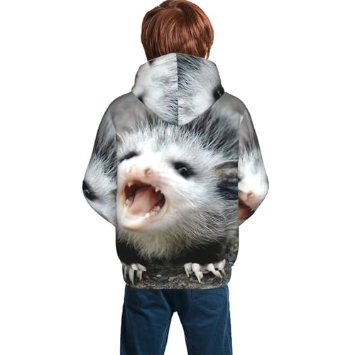 Possum Hissing Boy, Girls Sports Shirt Youth Pullover Fashion Hooded Sweatshirt2