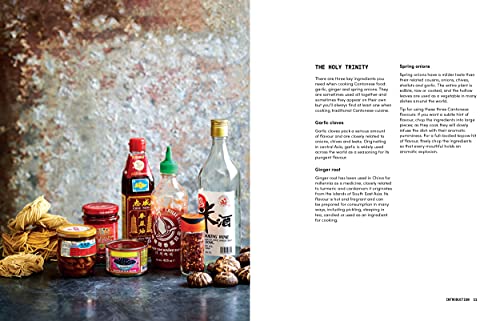 The Veggie Chinese Takeaway Cookbook: Wok, No Meat? Over 70 Vegan and Vegetarian Takeaway Classics Hardcover – 9 Jan. 2020 - Image 6