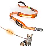 Heavy Duty Dog Leash and LED Light Set, LED Light with Nylon Stickers, Universal Glowing Accessories Easy to Attach Collar Leash and Harness, Safety LED Light Up Band for Dogs at Night Walking