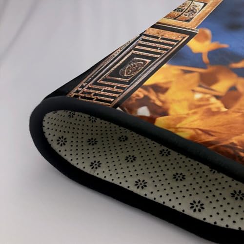 Paillasson antidérapant extérieur et intérieur tapis lavable en machine