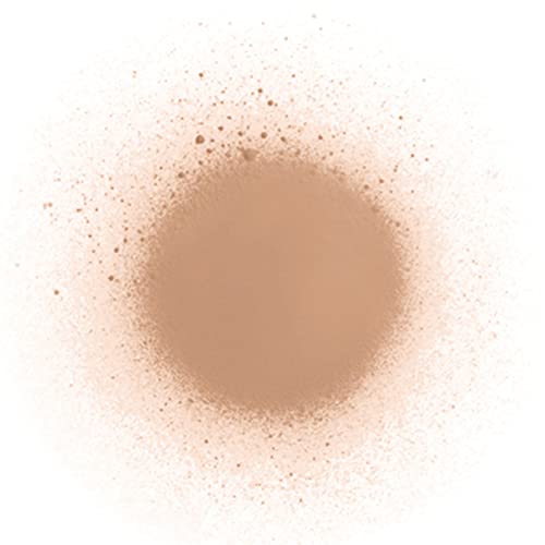 Diego Dalla Palma Spray On Tights Body Foundation - Fast Absorbing - Transfer Free Foundation For Legs And Body - Long-Lasting Texture - Suitable For All Skin Types - 201 Medium Complexion - 3.4 Oz #TOP3