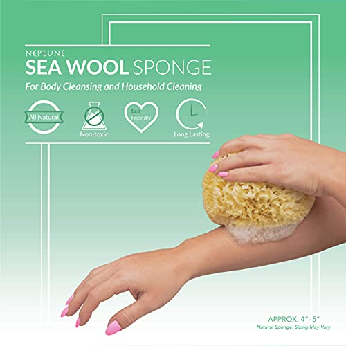 Neptune Natural Sea Wool Sponge - All Natural Honeycomb Renewable Sea Sponge, Large, Approx. 5 Inches #TOP1