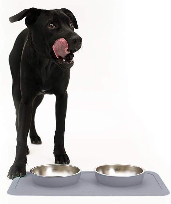 Ono Great Bowl Food & Water Double Feeder - Medium to Large Pets No Spill Non Skid Silicone Mat & Stainless Steel Bowls for Dogs or Cats (Charcoal)