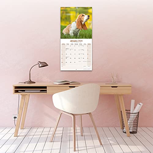 Basset Hound Calendar 2024 - Image 4