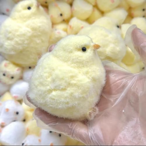 ̃XNC[YL̑̂AXgX̂߂̃VRXNC[YA2024N ̂킢傫ȔL̑̃fUCƃtbNAqƑl̂߂̈炵_炩(Chicken)