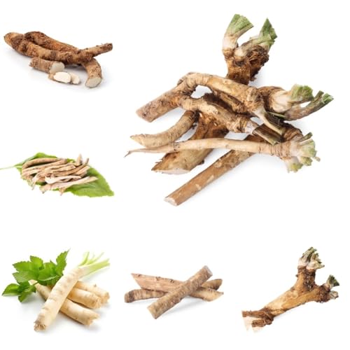 Semi di rafano, da giardino roccioso resistenti semi di medicinali giardino sul balcone prodotti sostenibili balcone con aiuola di rare 400pcs