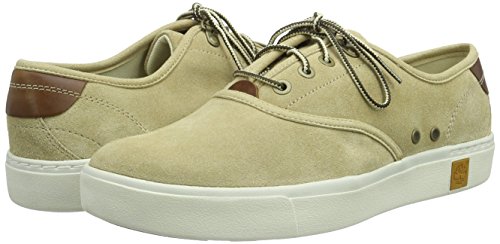Timberland Amherst Suede Ox, Basso Uomo