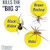 TERRO T2302-6 Spider Killer Spray for Indoors and Outdoors - Kills Spiders, Ants, Roaches, Scorpions, Ticks, Silverfish, and Other Insects