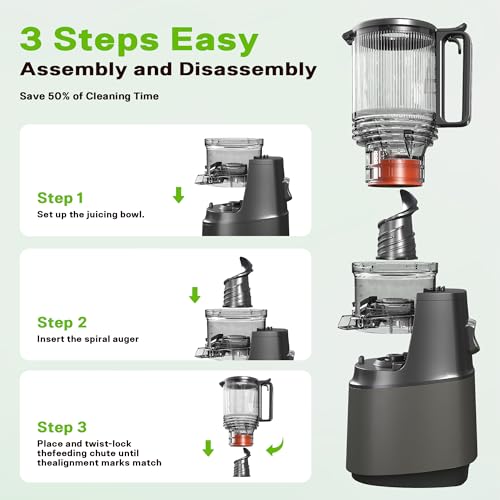 Automatic Cold Press Juicer Machine